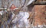 Фотография объекта