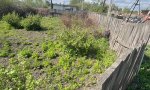 Фотография объекта