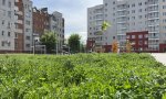 Фотография объекта