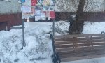 Фотография объекта