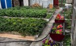 Фотография объекта