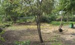 Фотография объекта