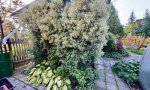 Фотография объекта