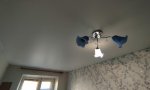 Фотография объекта