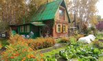 Фотография объекта